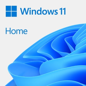 VECTOR ENGINEERIN OEM WIN 11 HOME 64BIT SPANISH LATAM 1PK DSP OEI DVD OEM WIN 11 HOME 64BIT SPANISH LATAM 1PK DSP OEI DVD