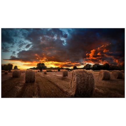 Pantalla Samsung 55" Video Wall VM55B-U LFD Resolución 1920x1080