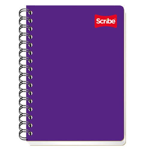 CUADERNO SCRIBE FRANCES CLASICO DOBLE RAYAS 100 HJS doble espiral