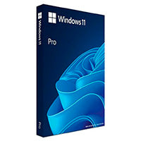 KIT DE LEGALIZACION GGK WINDOWS 11 PROFESIONAL 64 BITS ESPAÑOL LAT 1PK DSP DVD