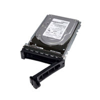 DISCO DURO DELL (400-ATKJ) HDD 2TB 7.2K/ SATA/ HOT PLUG/ INCLUYE CADDY PARA SERVIDORES CON CHASIS DE DISCOS 3.5 . COMPATIBLE CON LOS MODELOS R360, T360, T560, R660XS, R760XS